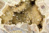 Yellow Crystal Filled Septarian Geode ( lbs) - Utah #127995-1